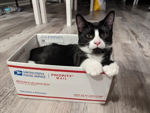 I fits, I sits
