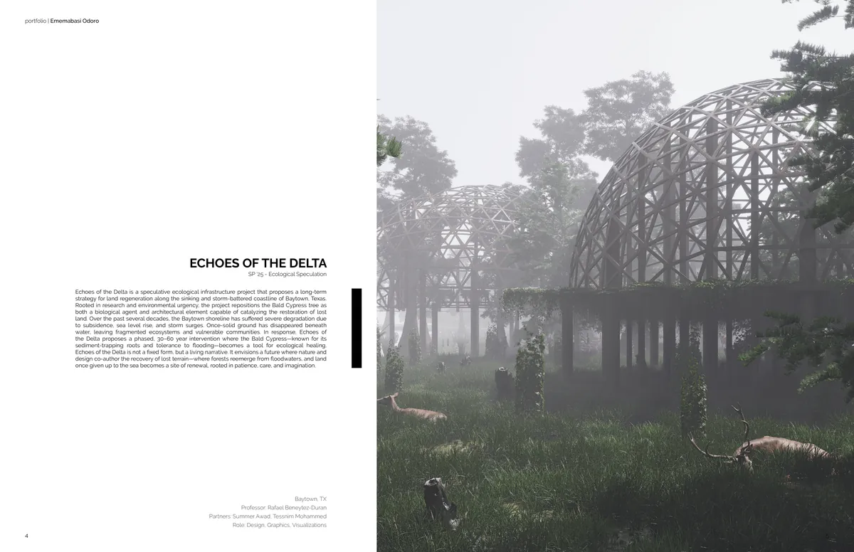 Couldn't obtain a internship/job