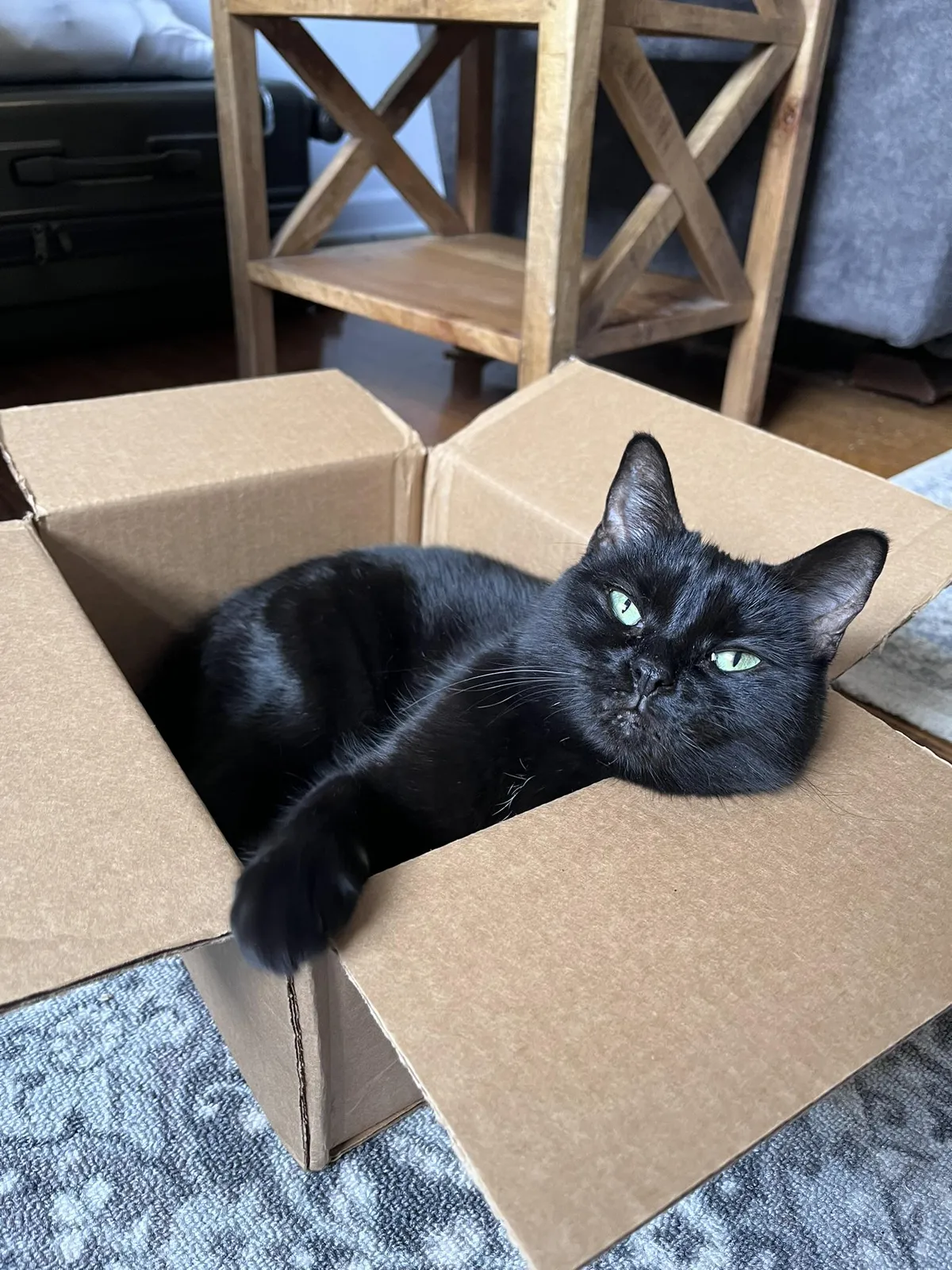 It's always a big day in our house when we get a package delivered