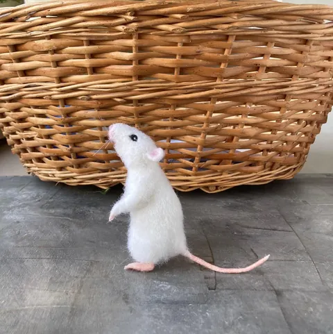 I made this cute white rat out of wool