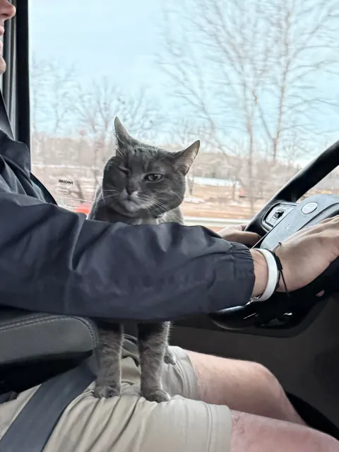 Lola is a truck driver 🚛!! She is 11 years old. 🙂