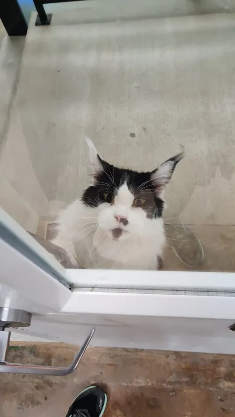 It's only a matter of time before he opens the door