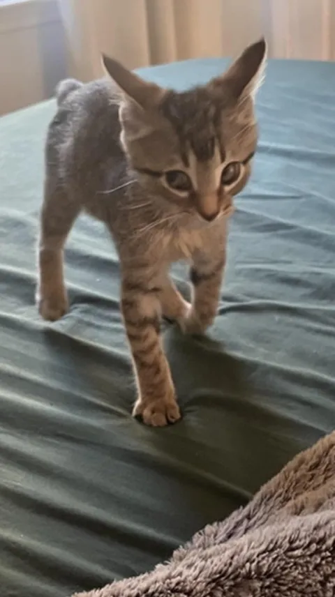 He really thinks he’s big and scary