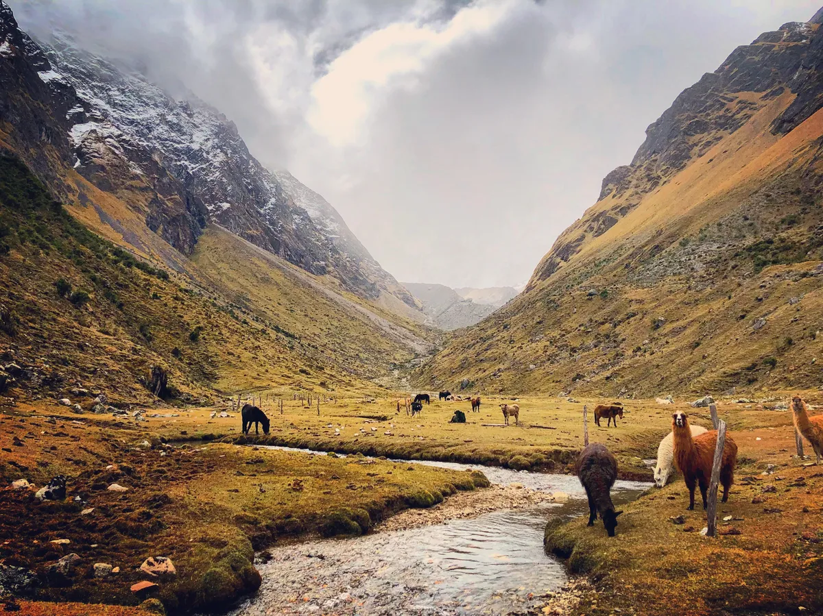 Took my girlfriend on her first proper hike last week. We’re already planning our next one! Day one of the Salkantay trek before we went over the pass.