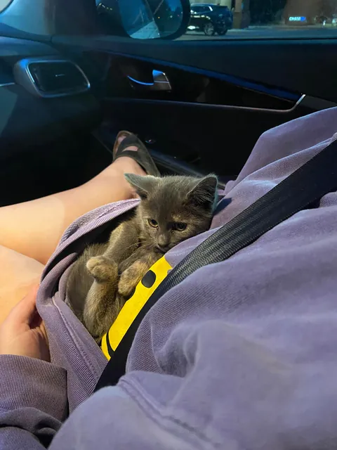 Found this stinky girl in a sonic parking lot 🥺💗