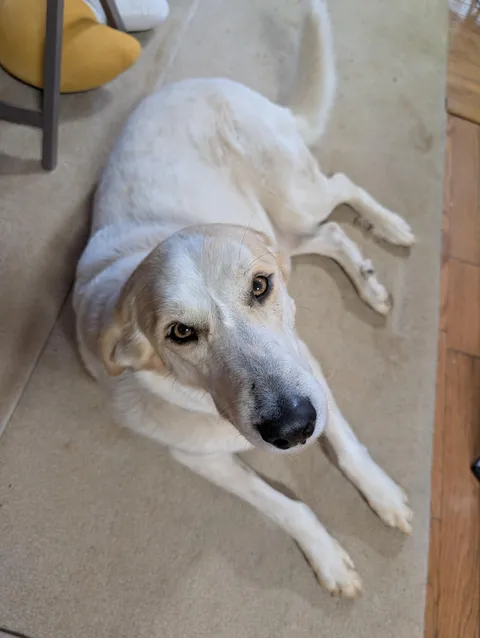 Little does she know she's my whole world. I do everything for her, because she's my everything.