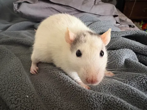 Can you believe this little dude is 3.5???