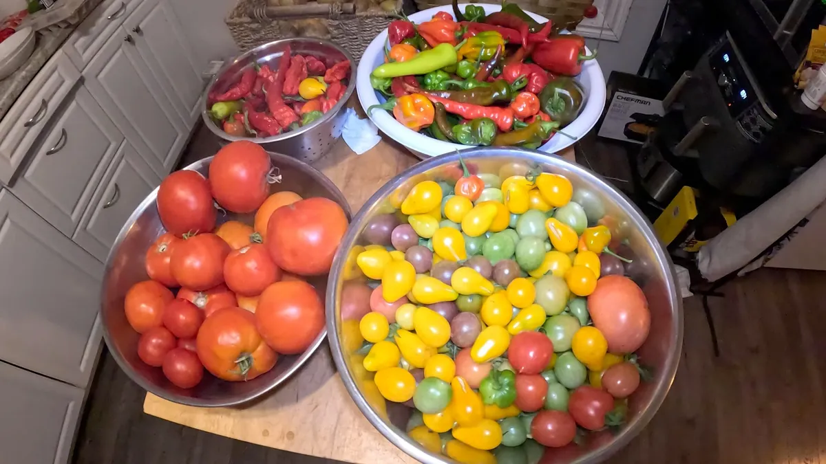 Backyard garden harvest.