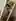 Mostly legs