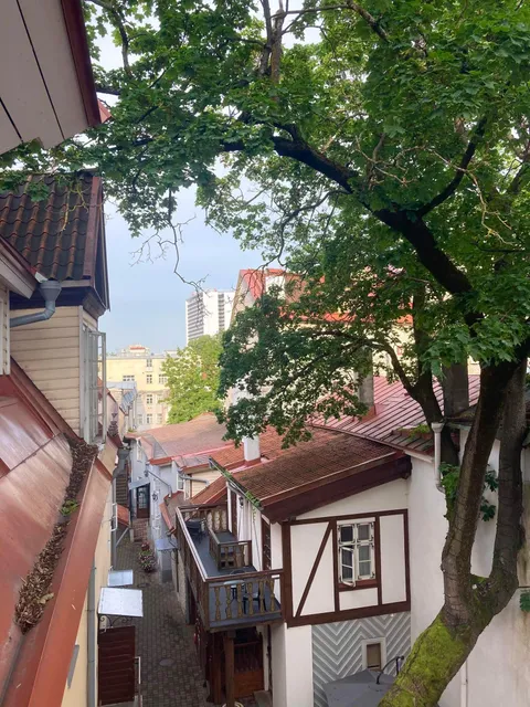 Overllooking an alley in Tallinn