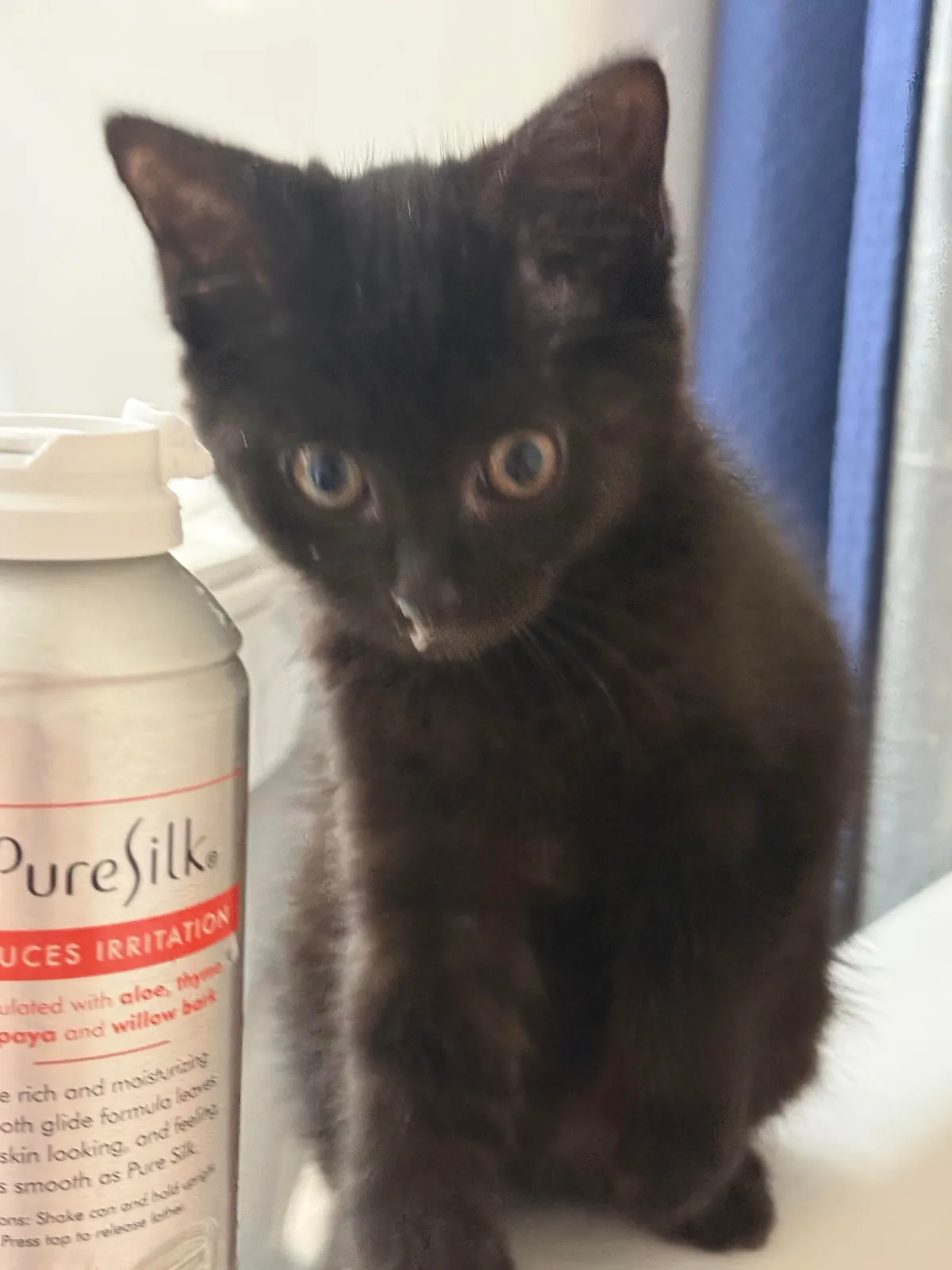 Bobbi has never in her 7 months of life let her hatred of water get in the way of her clinginess.