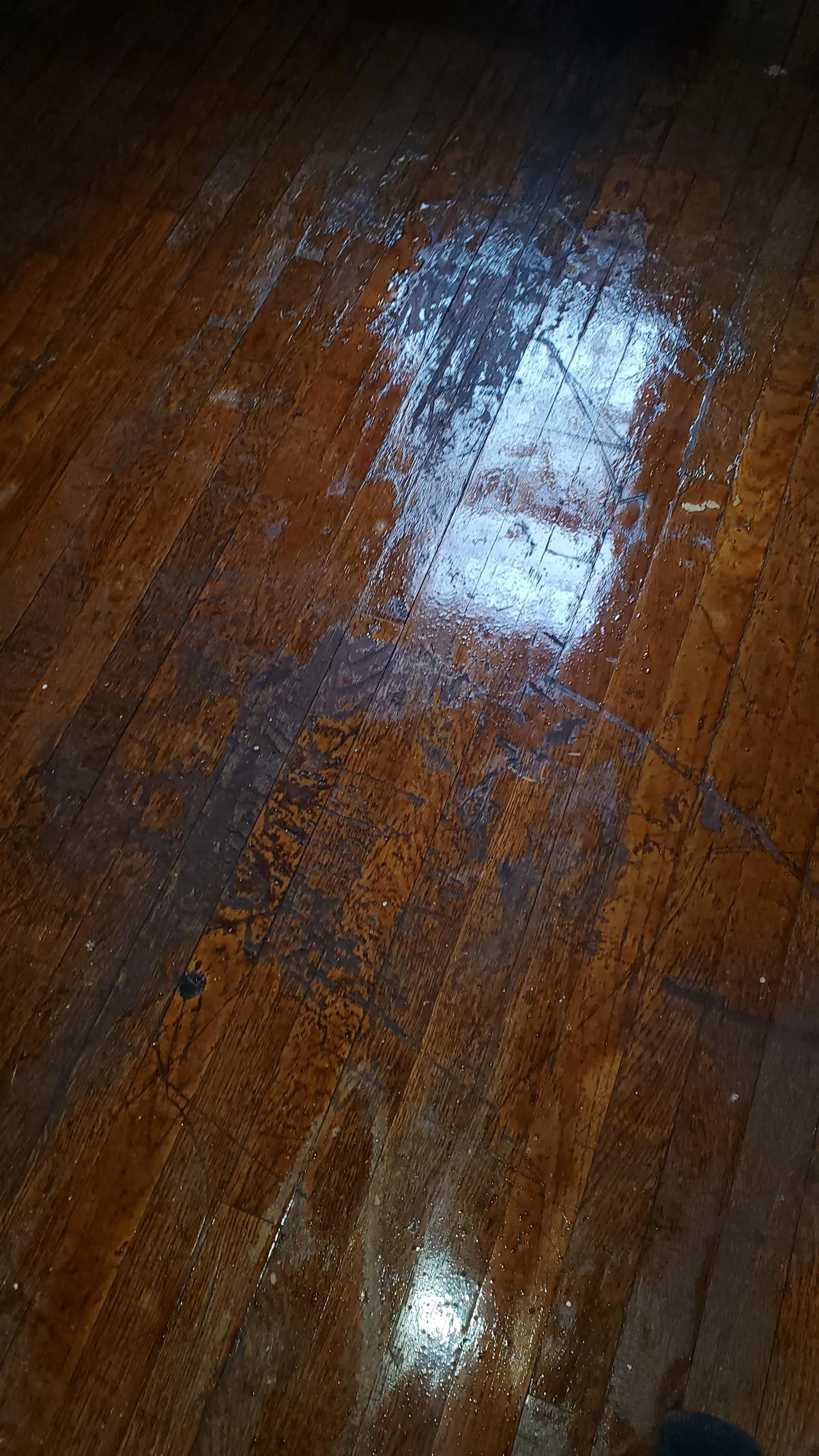 I hated these floors, so I redid them. First time major DIY, how did I do?