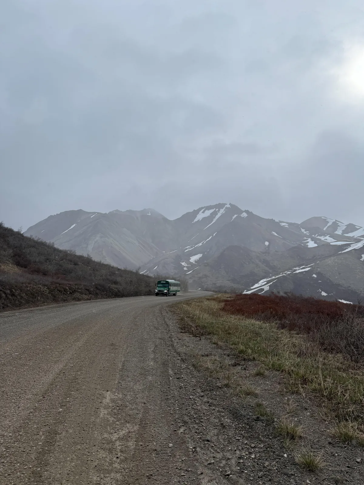 Bears and views in Alaska, June 2025