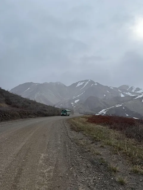 Bears and views in Alaska, June 2025