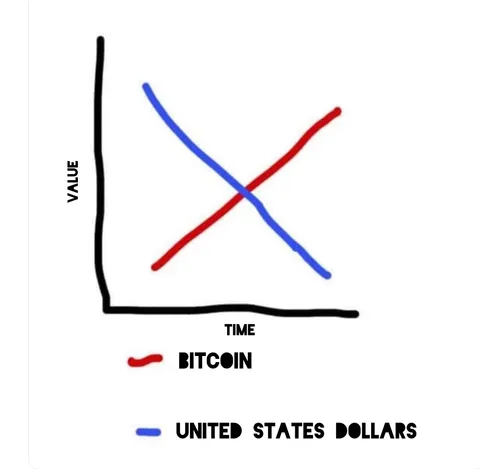 All you need to know