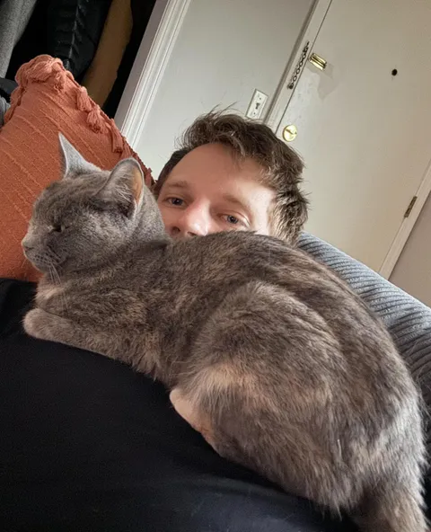 Help.. I’m cat-sitting and it’s my first time having a cat sit on me. What do I do?