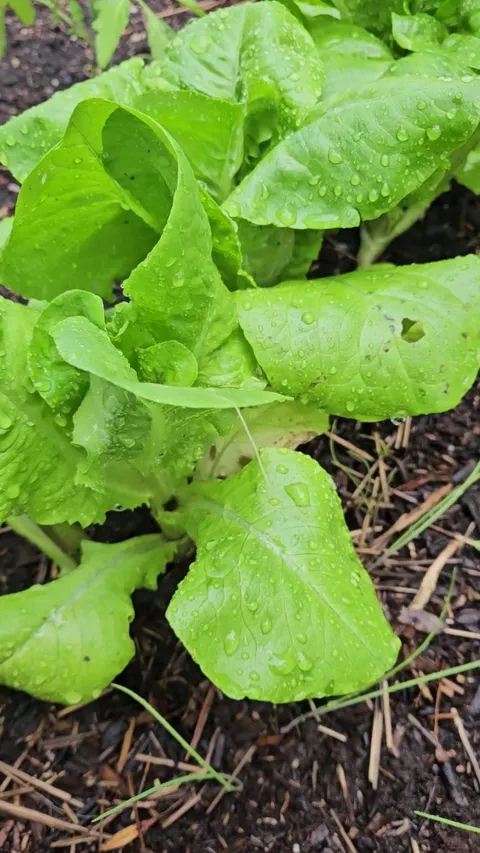 Do i need to be worried?