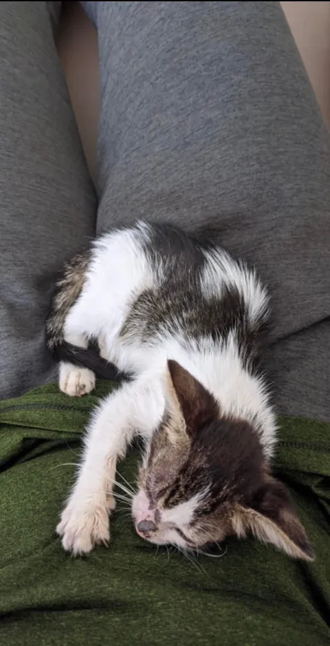 Before Love and After Love