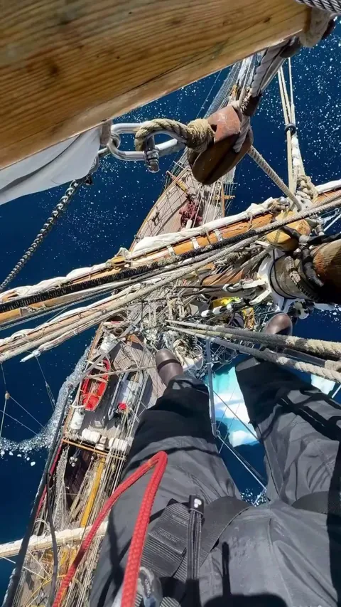 Antartica in summertime ❤️