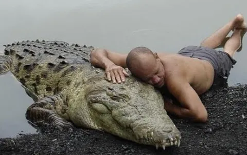 In 1989, fisherman Chito Shedden rescued an injured crocodile named Pocho, and they formed a lifelong bond. For 20 years, they swam and played together daily. Chito's wife left him over his attachment to Pocho, but he said he could find another wife, never another Pocho.