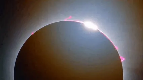 People Reactions To The Great American Eclipse 2024