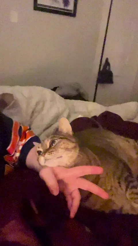 What did I do in my past life to deserve this 🥹