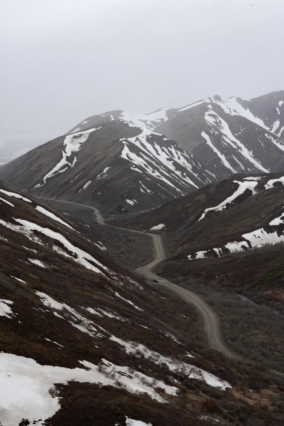 Bears and views in Alaska, June 2025