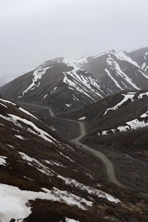 Bears and views in Alaska, June 2025