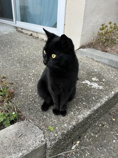 Photogenic void baby