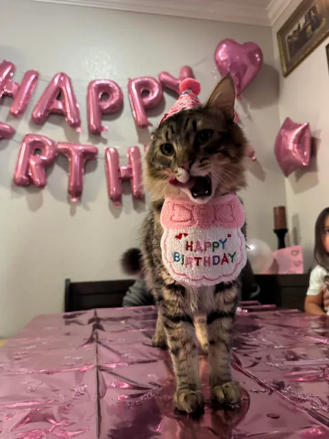 Look at this birthday boy