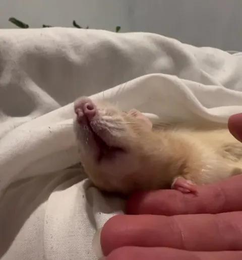 Watch the ending…. Worth the wait 😂😂❤️❤️❤️