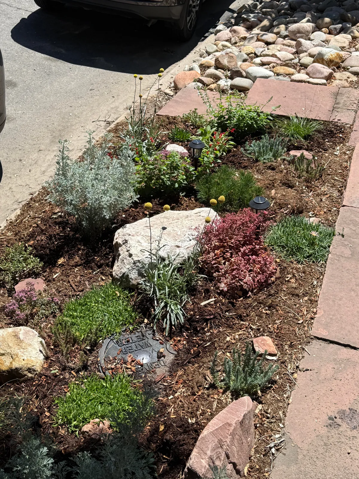 My 2nd year gardening, and I’m proud to share ‘em!