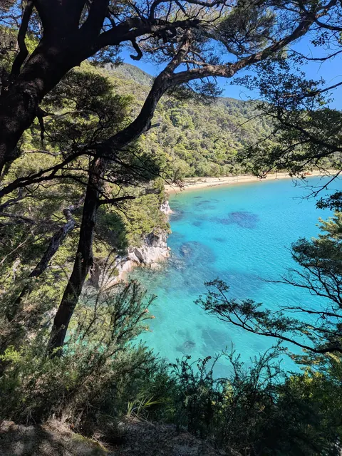 4.5 months in New Zealand