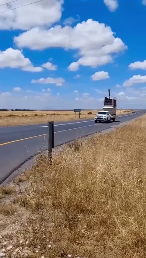 The Tallest Backseat Driver