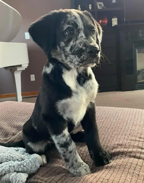 Distinguished Gentleman 🥹