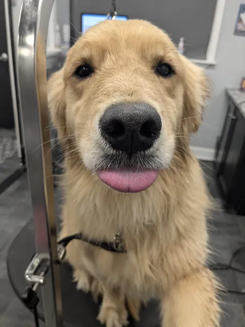 Best way to start my day 🥰