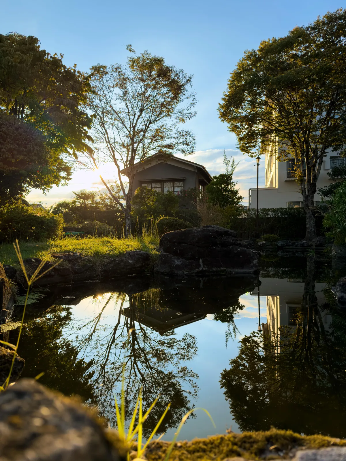 ITAP of a small park next to my apartment