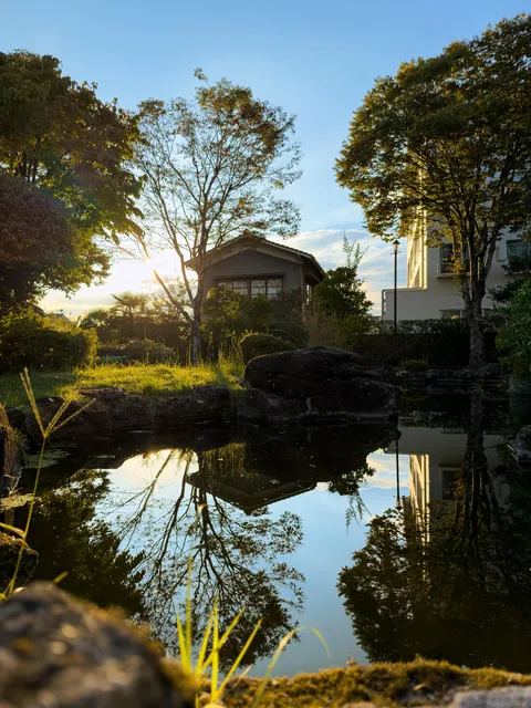 ITAP of a small park next to my apartment