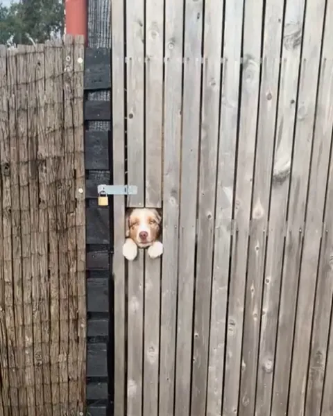 “Sure he’s cute, but can he do this??”