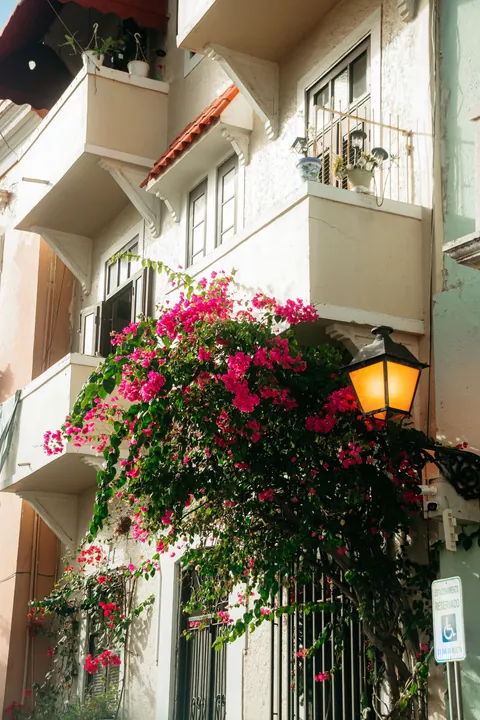 A week in Puerto Rico