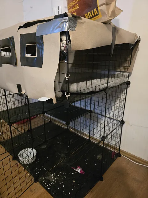 I opened the door 10 minutes ago, he still cries that he wants to be let out