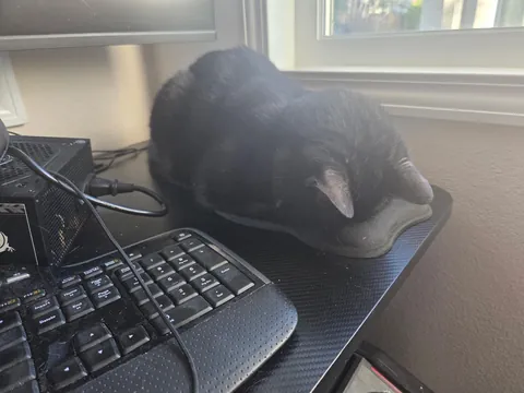 Coworker has low productivity