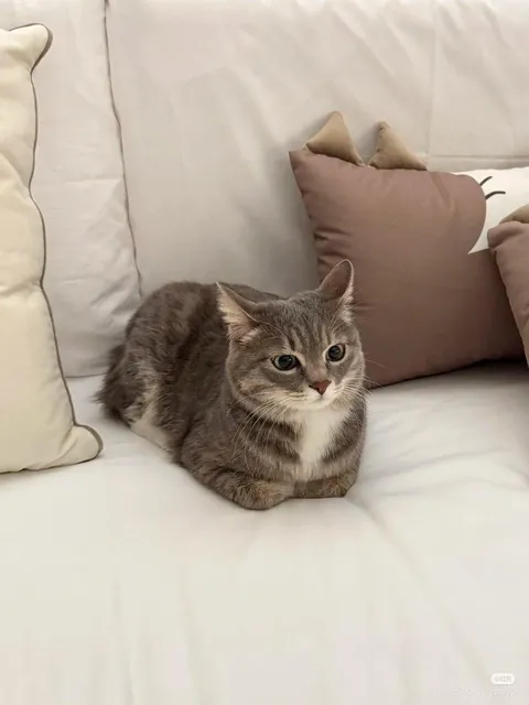 Her after she wakes up