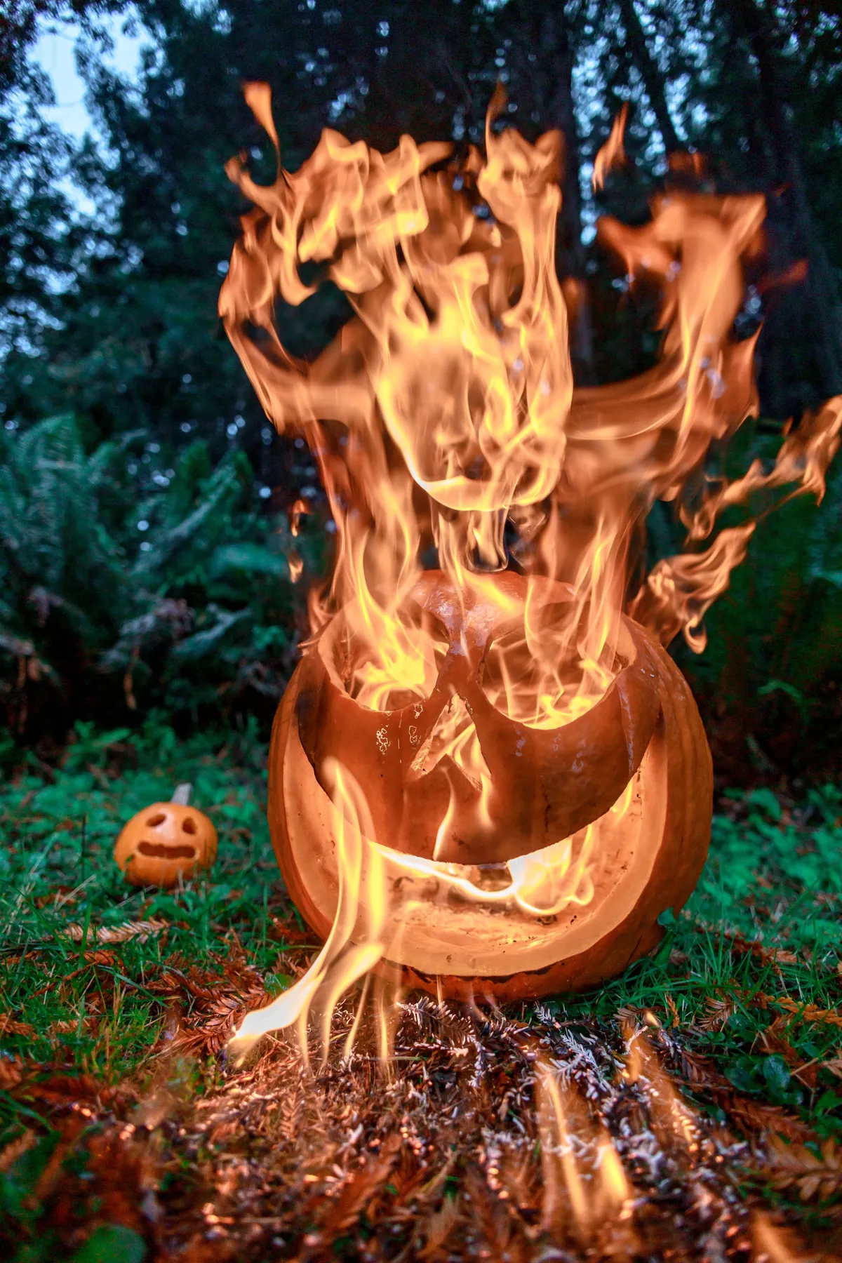 My yearly Halloween tradition: Carve a pumpkin so I can light it on fire for photos. [OC]