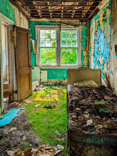 Grass growing in hotel room in New York