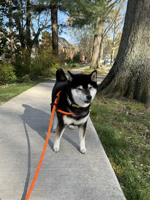 My best friend turned 14!