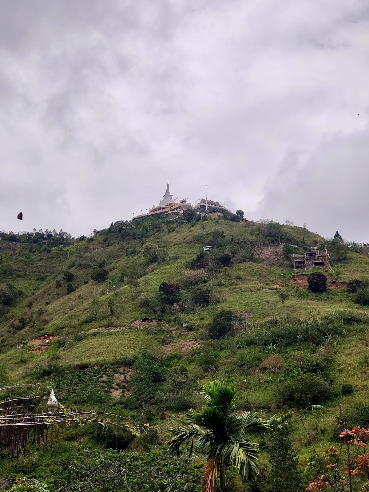 Sri Lanka : sun, tuk-tuks and mild disappointments.