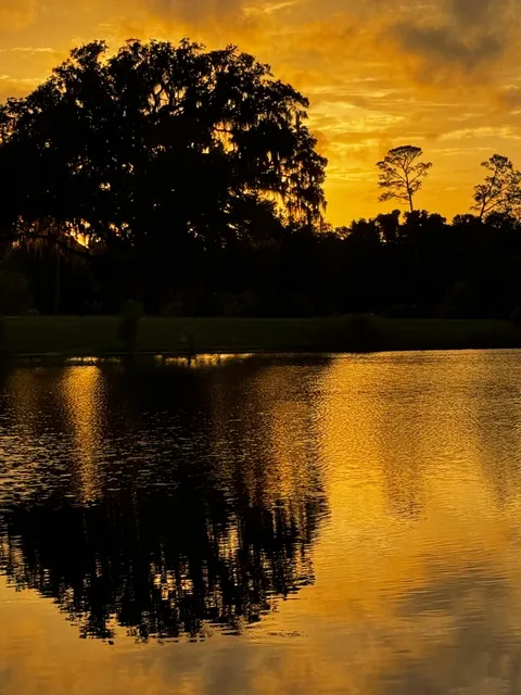 A very golden sunset