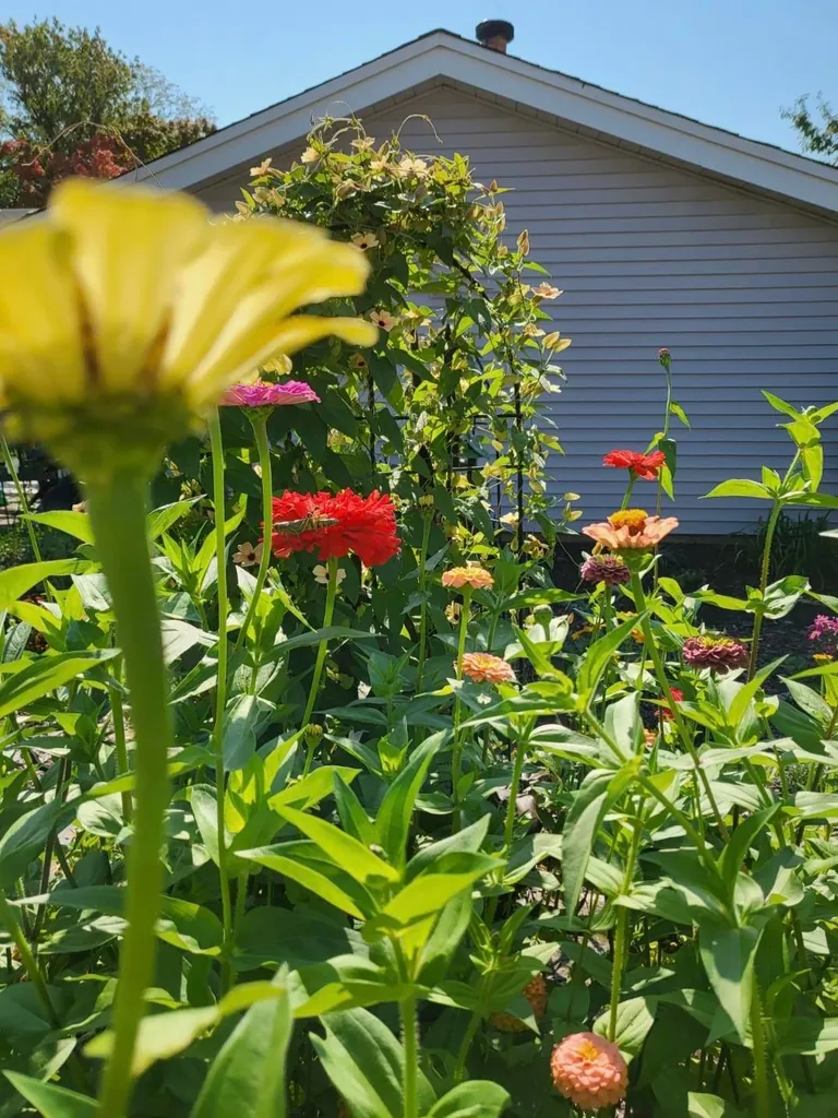 Transformed a small space behind my garage into my dream garden🌻2023 vs. 2024 