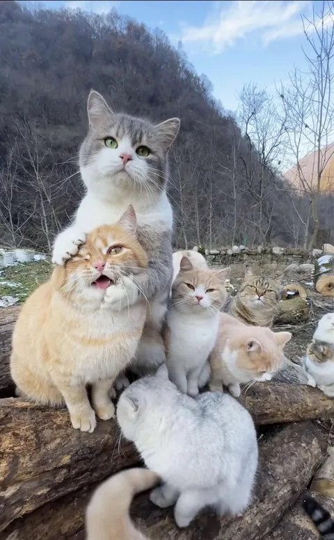 Which one is the cutest